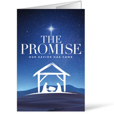 The Promise Manger 