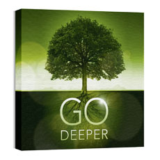 Go Deeper Roots 