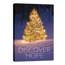 Discover Hope Bright Tree 