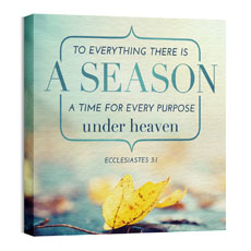 Season Ecc 3:1 