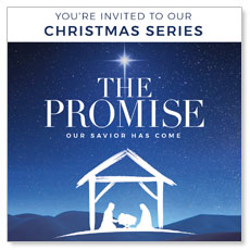 The Promise Manger 