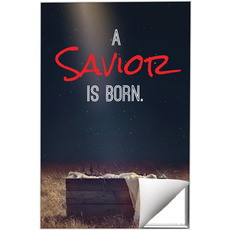 Savior Born 