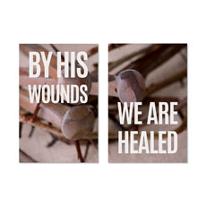 By His Wounds Pair 