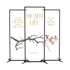 Death To Life Blossom Triptych 