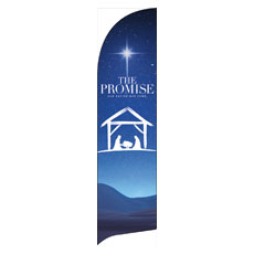 The Promise Manger 